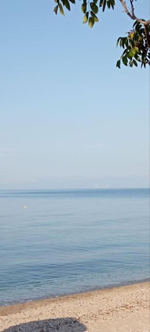 FanárionPomegranate Seaside Corner别墅 外观 照片